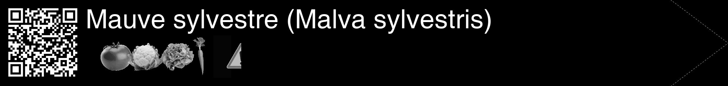 Étiquette de : Malva sylvestris - format c - style blanche59_simple_simplehel avec qrcode et comestibilité simplifiée