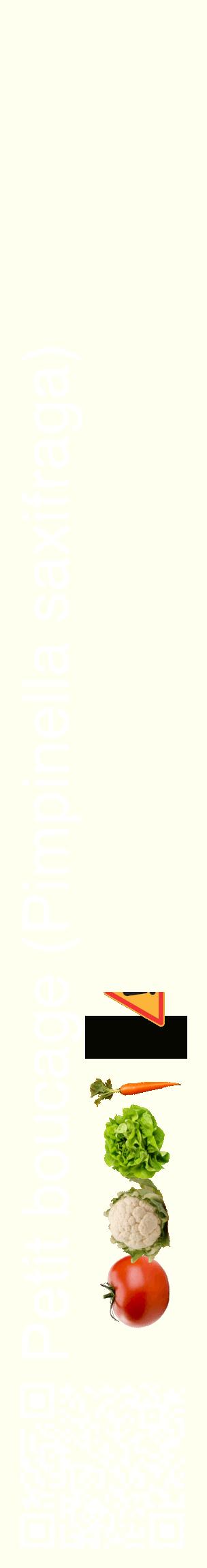 Étiquette de : Pimpinella saxifraga - format c - style blanche19_basiquehel avec qrcode et comestibilité simplifiée