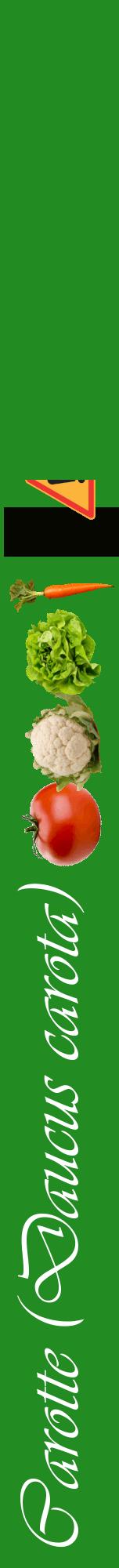 Étiquette de : Daucus carota - format a - style blanche10viv avec comestibilité simplifiée