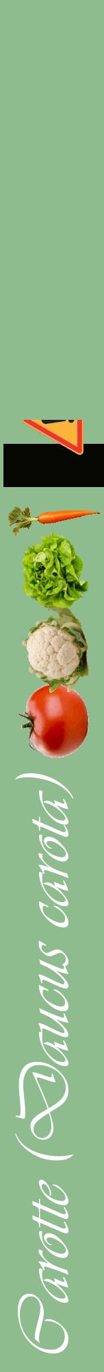 Étiquette de : Daucus carota - format a - style blanche13viv avec comestibilité simplifiée