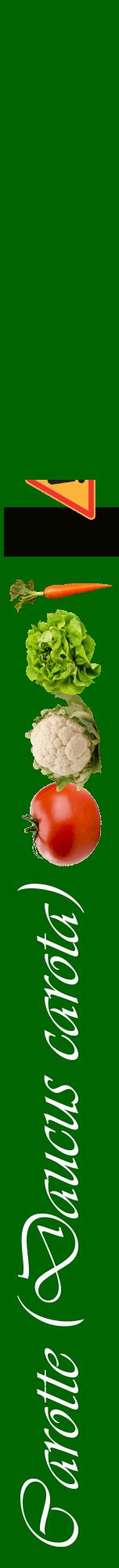 Étiquette de : Daucus carota - format a - style blanche8viv avec comestibilité simplifiée