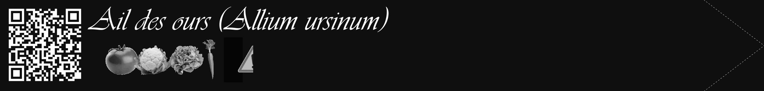 Étiquette de : Allium ursinum - format c - style blanche7_simple_simpleviv avec qrcode et comestibilité simplifiée