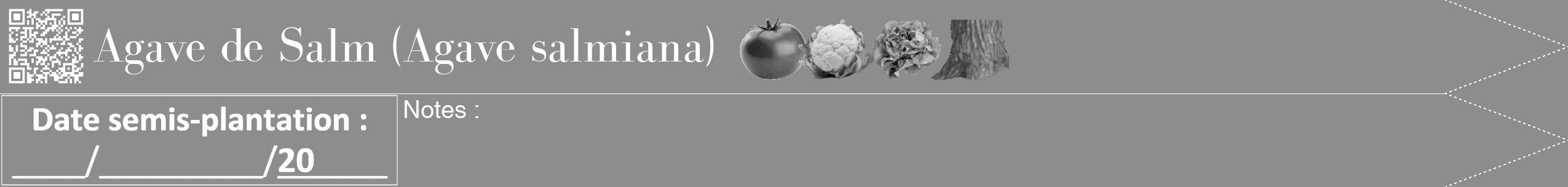 Étiquette de : Agave salmiana - format b - style blanche2bod avec qrcode et comestibilité simplifiée