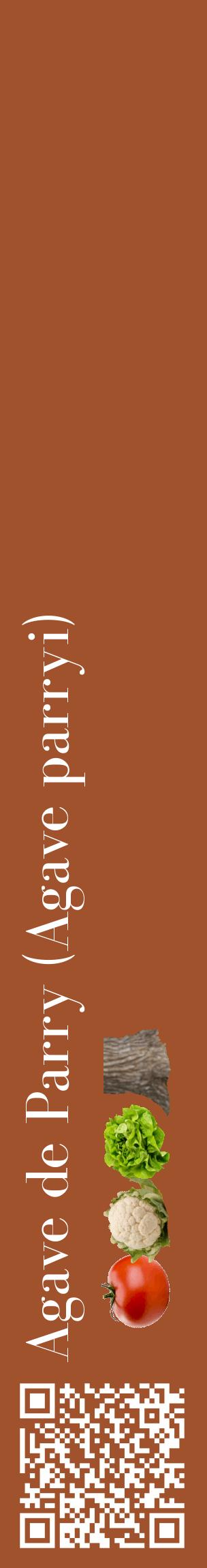 Étiquette de : Agave parryi - format c - style blanche32_basiquebod avec qrcode et comestibilité simplifiée