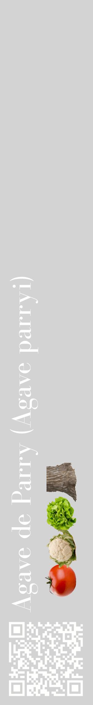 Étiquette de : Agave parryi - format c - style blanche56_basiquebod avec qrcode et comestibilité simplifiée