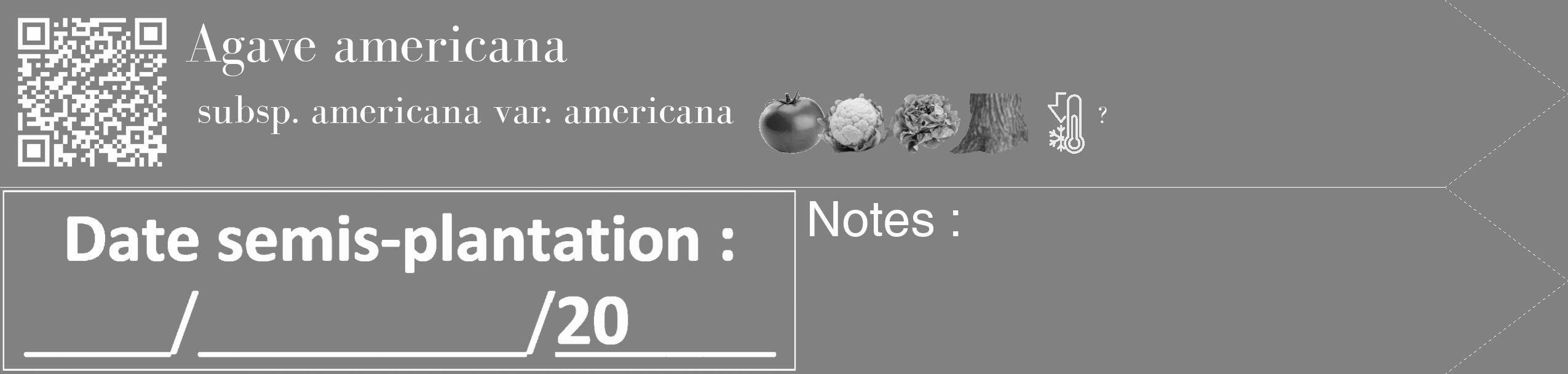 Étiquette de : Agave americana subsp. americana var. americana - format c - style blanche50_simple_simplebod avec qrcode et comestibilité simplifiée