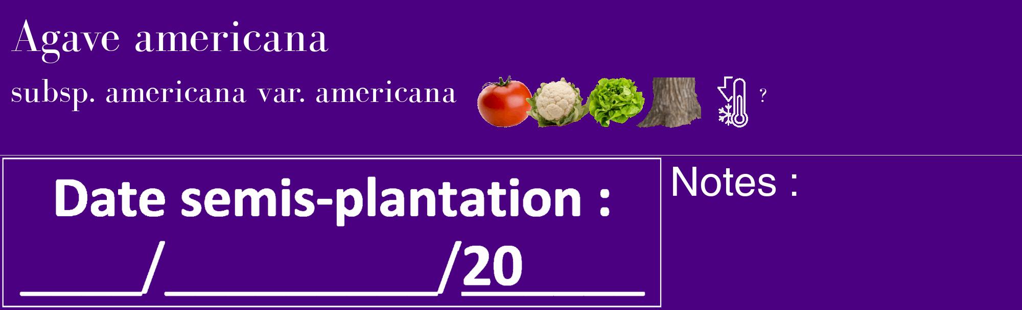 Étiquette de : Agave americana subsp. americana var. americana - format c - style blanche47_basique_basiquebod avec comestibilité simplifiée