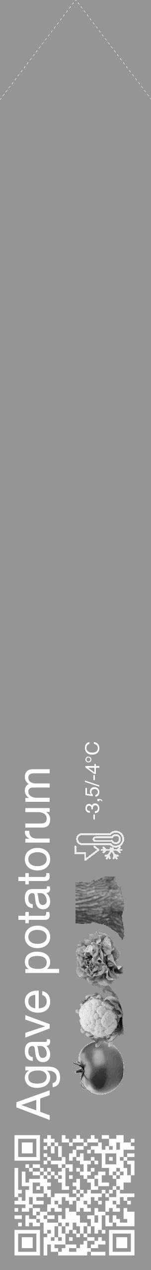 Étiquette de : Agave potatorum - format c - style blanche16_simple_simplehel avec qrcode et comestibilité simplifiée - position verticale