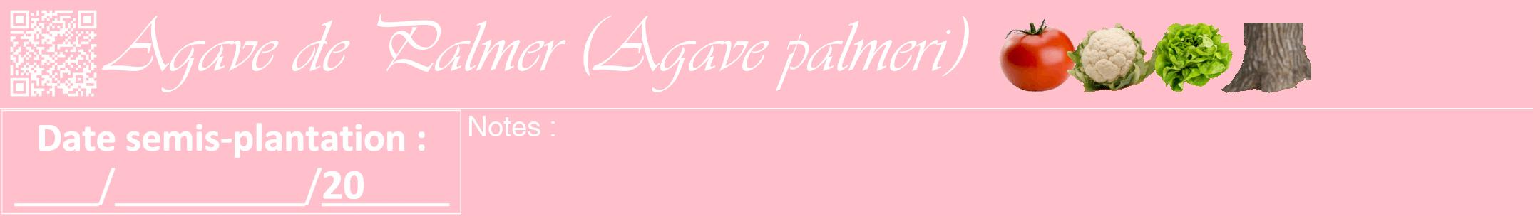 Étiquette de : Agave palmeri - format a - style blanche40viv avec qrcode et comestibilité simplifiée