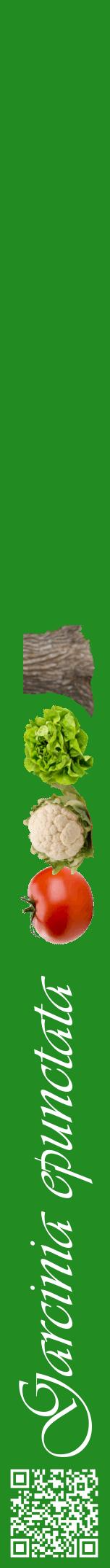 Étiquette de : Garcinia epunctata - format a - style blanche10viv avec qrcode et comestibilité simplifiée