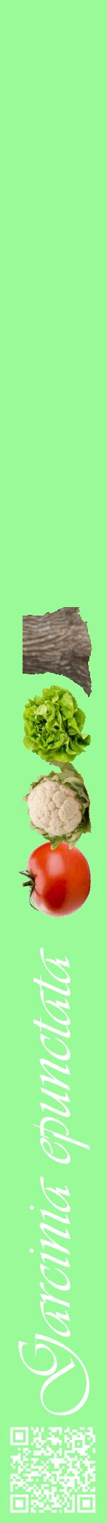 Étiquette de : Garcinia epunctata - format a - style blanche14viv avec qrcode et comestibilité simplifiée