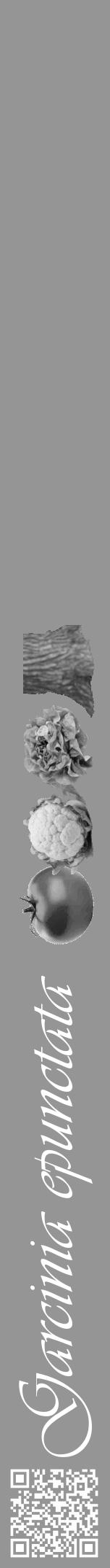 Étiquette de : Garcinia epunctata - format a - style blanche16viv avec qrcode et comestibilité simplifiée - position verticale