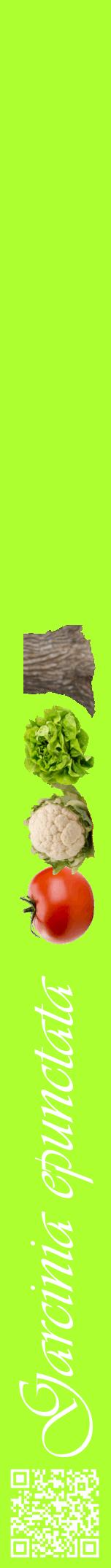 Étiquette de : Garcinia epunctata - format a - style blanche17viv avec qrcode et comestibilité simplifiée