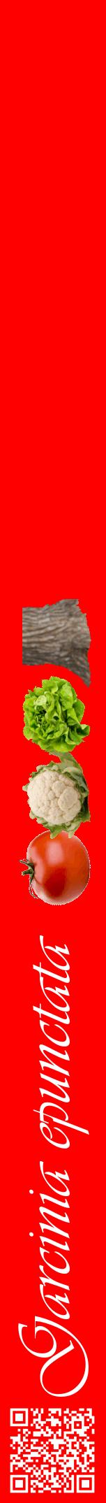 Étiquette de : Garcinia epunctata - format a - style blanche27viv avec qrcode et comestibilité simplifiée
