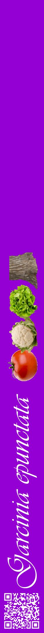 Étiquette de : Garcinia epunctata - format a - style blanche48viv avec qrcode et comestibilité simplifiée