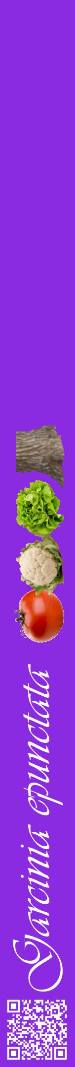 Étiquette de : Garcinia epunctata - format a - style blanche49viv avec qrcode et comestibilité simplifiée