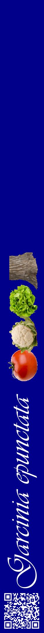 Étiquette de : Garcinia epunctata - format a - style blanche7viv avec qrcode et comestibilité simplifiée