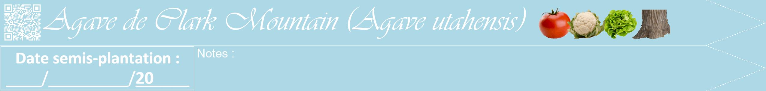 Étiquette de : Agave utahensis - format b - style blanche0viv avec qrcode et comestibilité simplifiée