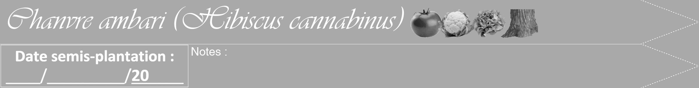 Étiquette de : Hibiscus cannabinus - format b - style blanche13simpleviv avec comestibilité simplifiée