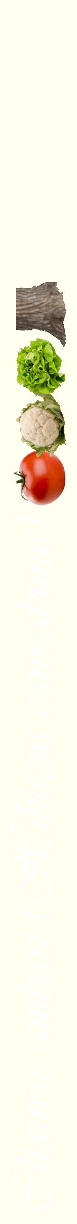 Étiquette de : Hibiscus cannabinus - format b - style blanche19viv avec comestibilité simplifiée