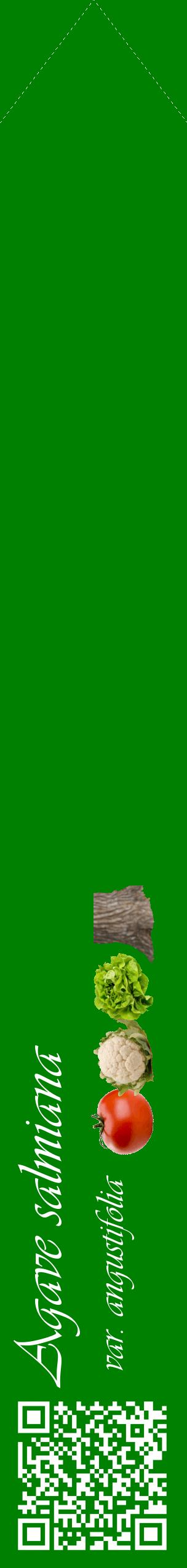 Étiquette de : Agave salmiana var. angustifolia - format c - style blanche9_simpleviv avec qrcode et comestibilité simplifiée