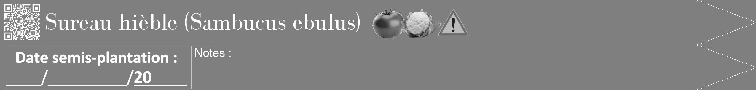 Étiquette de : Sambucus ebulus - format b - style blanche57bod avec qrcode et comestibilité simplifiée