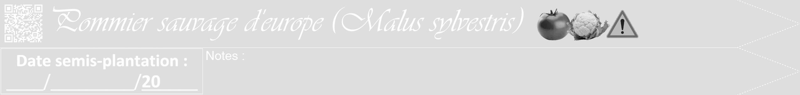 Étiquette de : Malus sylvestris - format b - style blanche20simpleviv avec qrcode et comestibilité simplifiée