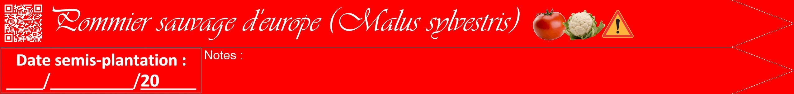 Étiquette de : Malus sylvestris - format b - style blanche27viv avec qrcode et comestibilité simplifiée