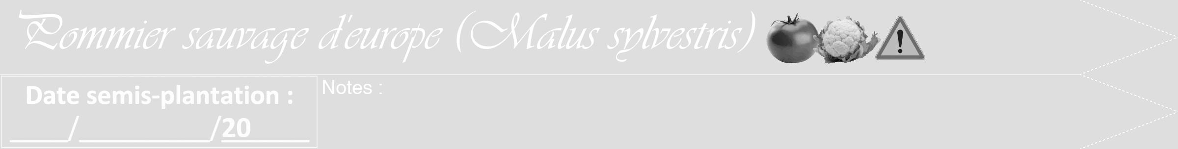 Étiquette de : Malus sylvestris - format b - style blanche20simpleviv avec comestibilité simplifiée