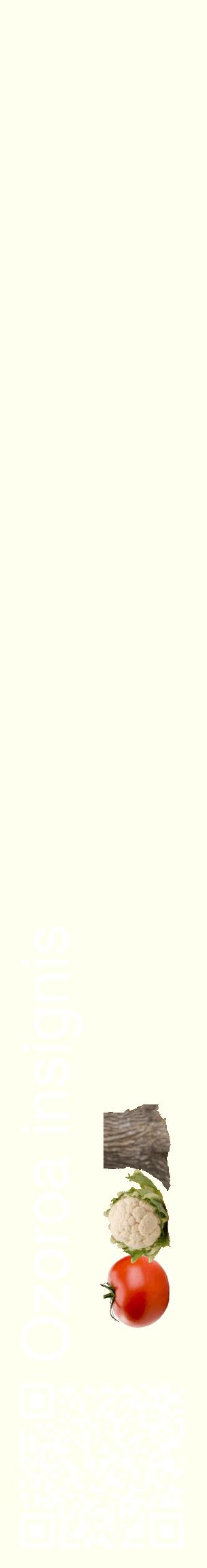 Étiquette de : Ozoroa insignis - format c - style blanche19_basiquehel avec qrcode et comestibilité simplifiée