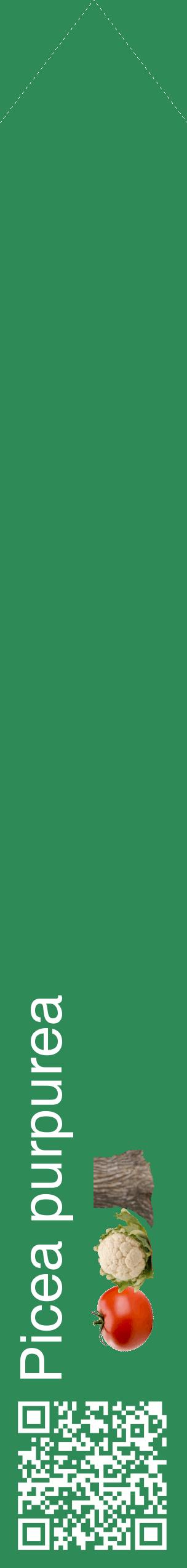 Étiquette de : Picea purpurea - format c - style blanche11_simplehel avec qrcode et comestibilité simplifiée