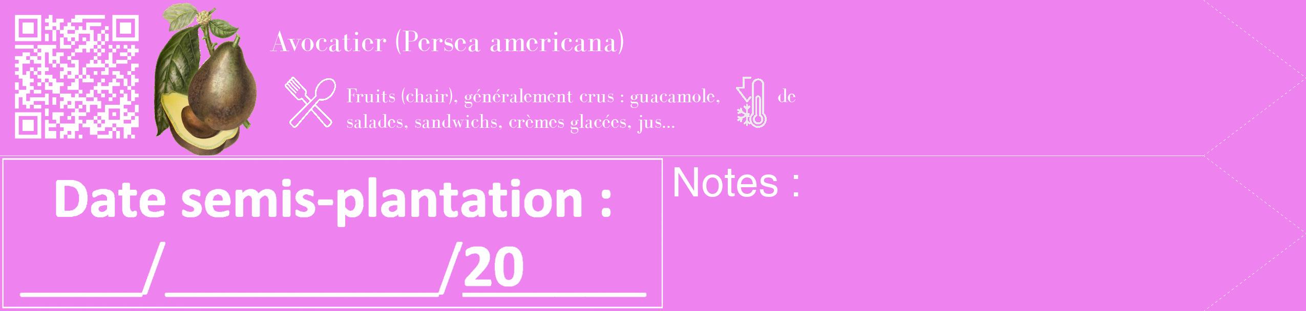 Étiquette de : Persea americana - format c - style blanche53_simple_simplebod avec qrcode et comestibilité simplifiée
