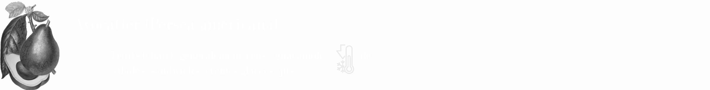 Étiquette de : Persea americana - format c - style blanche19_simple_simplebod avec comestibilité simplifiée