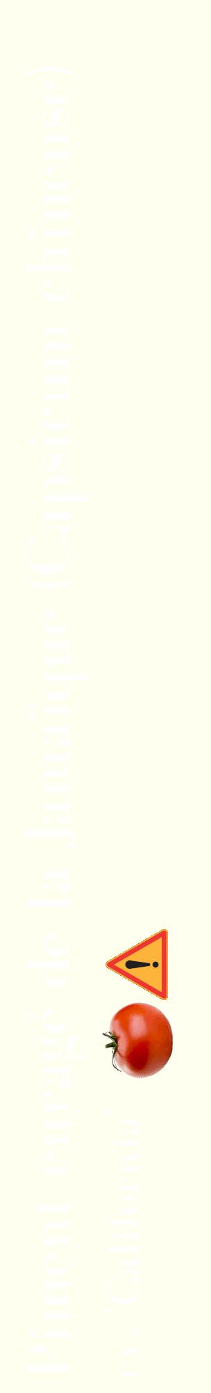 Étiquette de : Capsicum chinense cv. 'California' - format c - style blanche19_basiquebod avec comestibilité simplifiée
