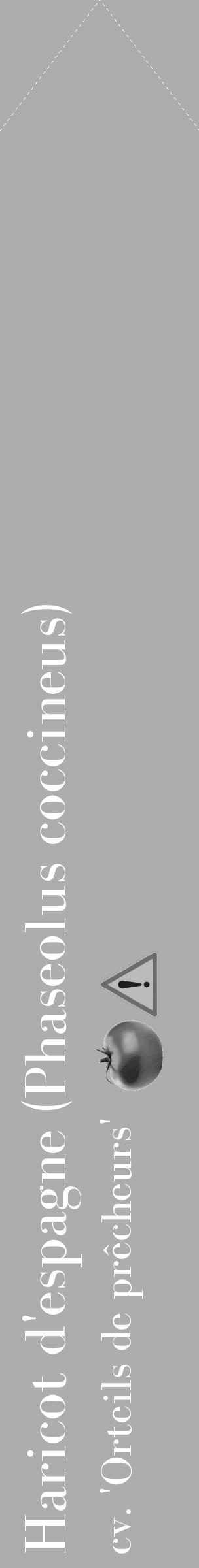 Étiquette de : Phaseolus coccineus cv. 'Orteils de prêcheurs' - format c - style blanche22_simple_simplebod avec comestibilité simplifiée - position verticale