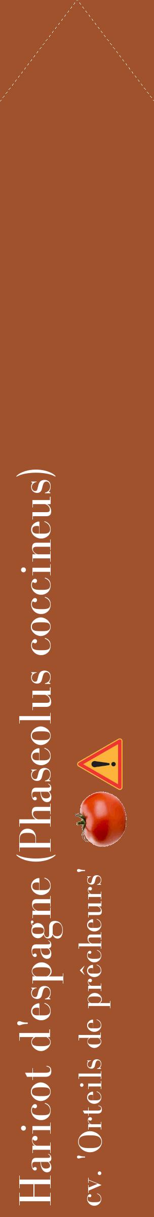 Étiquette de : Phaseolus coccineus cv. 'Orteils de prêcheurs' - format c - style blanche32_simplebod avec comestibilité simplifiée