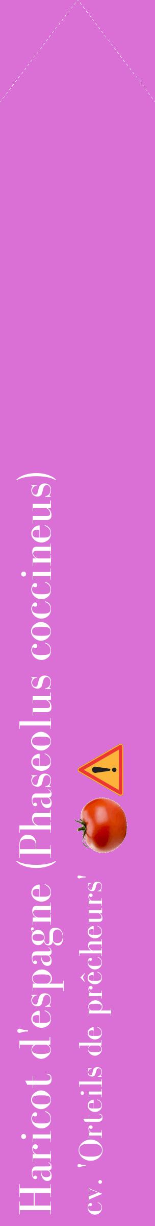 Étiquette de : Phaseolus coccineus cv. 'Orteils de prêcheurs' - format c - style blanche52_simplebod avec comestibilité simplifiée