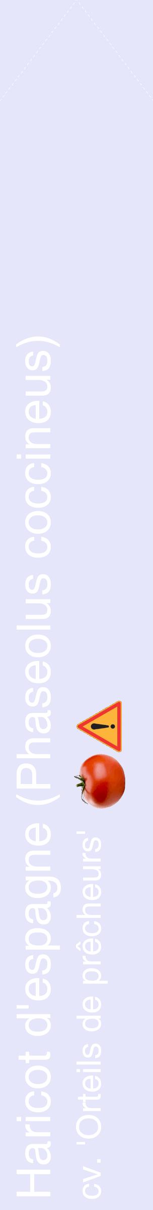 Étiquette de : Phaseolus coccineus cv. 'Orteils de prêcheurs' - format c - style blanche55_simplehel avec comestibilité simplifiée