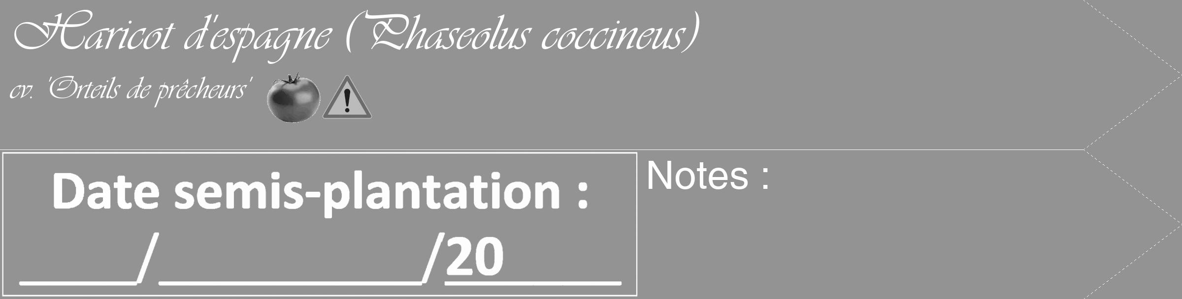 Étiquette de : Phaseolus coccineus cv. 'Orteils de prêcheurs' - format c - style blanche44_simple_simpleviv avec comestibilité simplifiée