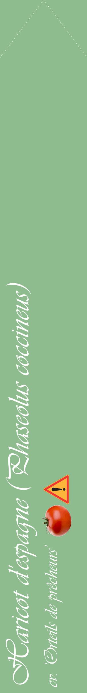 Étiquette de : Phaseolus coccineus cv. 'Orteils de prêcheurs' - format c - style blanche13_simpleviv avec comestibilité simplifiée