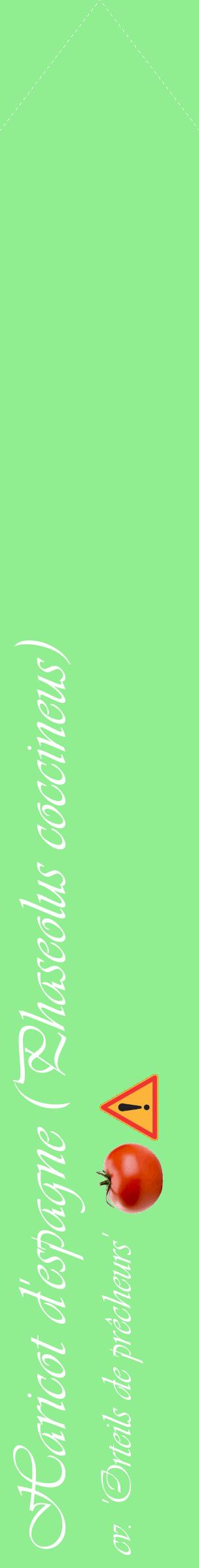 Étiquette de : Phaseolus coccineus cv. 'Orteils de prêcheurs' - format c - style blanche15_simpleviv avec comestibilité simplifiée
