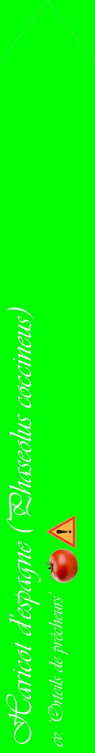 Étiquette de : Phaseolus coccineus cv. 'Orteils de prêcheurs' - format c - style blanche16_simpleviv avec comestibilité simplifiée