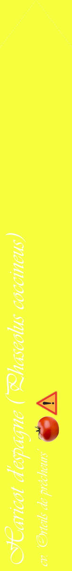 Étiquette de : Phaseolus coccineus cv. 'Orteils de prêcheurs' - format c - style blanche18_simpleviv avec comestibilité simplifiée