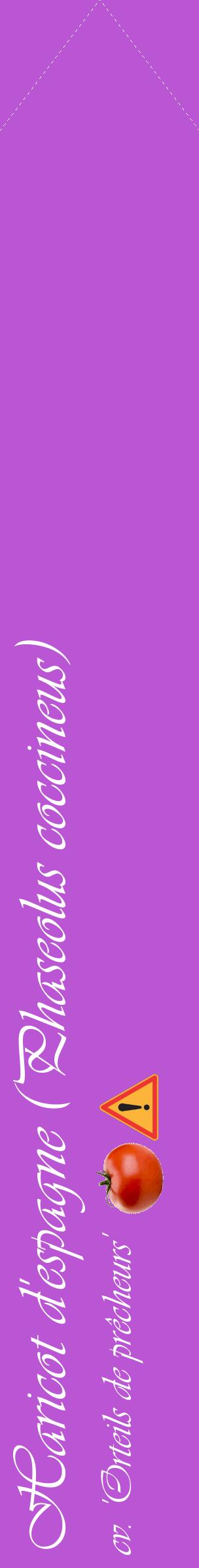 Étiquette de : Phaseolus coccineus cv. 'Orteils de prêcheurs' - format c - style blanche50_simpleviv avec comestibilité simplifiée