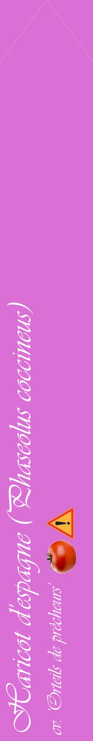 Étiquette de : Phaseolus coccineus cv. 'Orteils de prêcheurs' - format c - style blanche52_simpleviv avec comestibilité simplifiée