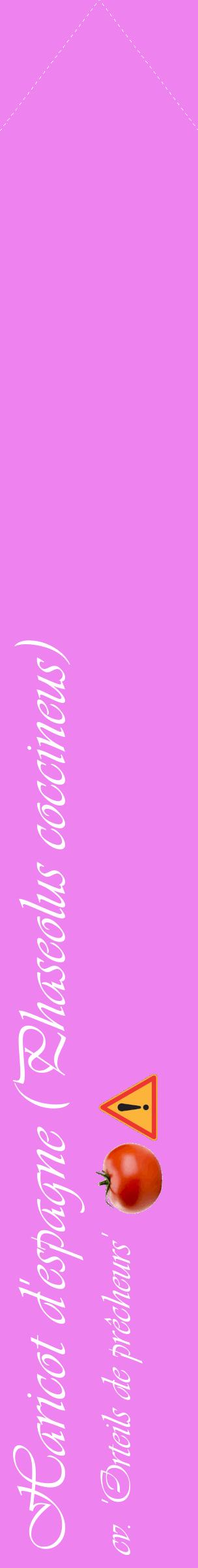 Étiquette de : Phaseolus coccineus cv. 'Orteils de prêcheurs' - format c - style blanche53_simpleviv avec comestibilité simplifiée