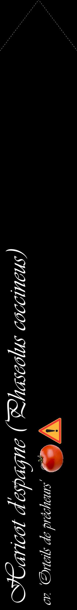 Étiquette de : Phaseolus coccineus cv. 'Orteils de prêcheurs' - format c - style blanche59_simpleviv avec comestibilité simplifiée