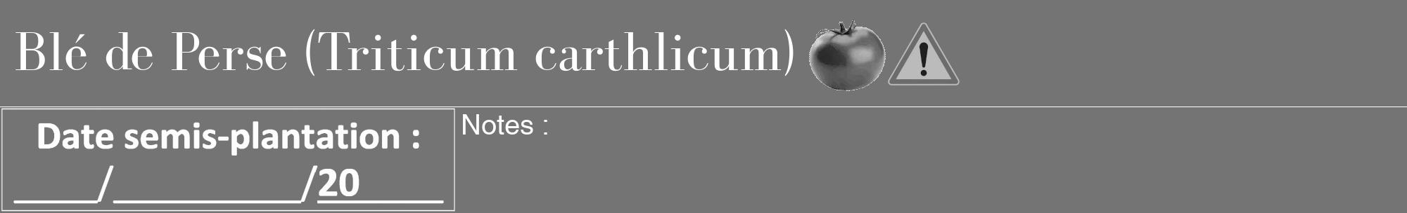 Étiquette de : Triticum carthlicum - format a - style blanche26bod avec comestibilité simplifiée