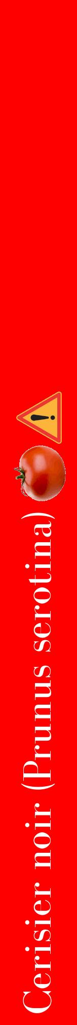 Étiquette de : Prunus serotina - format a - style blanche27bod avec comestibilité simplifiée
