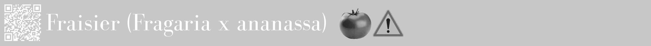 Étiquette de : Fragaria x ananassa - format a - style blanche15bod avec qrcode et comestibilité simplifiée
